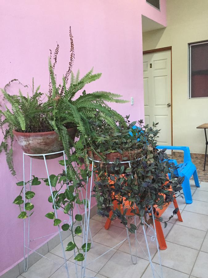 Casa Mokoron Appartement Managua Buitenkant foto